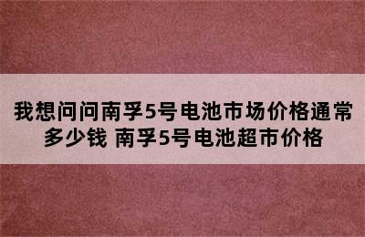 我想问问南孚5号电池市场价格通常多少钱 南孚5号电池超市价格